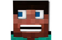 Play Block Craft Survival now!